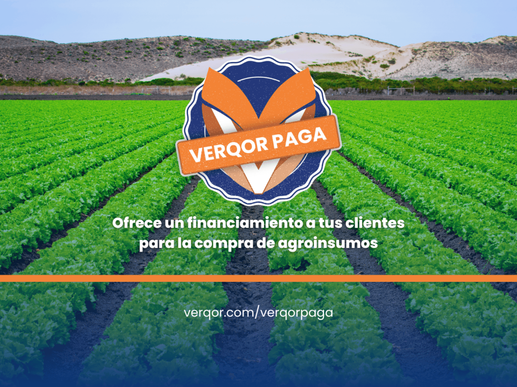 Con Verqor PAGA hacemos equipo para crecer tu tienda de agroinsumos